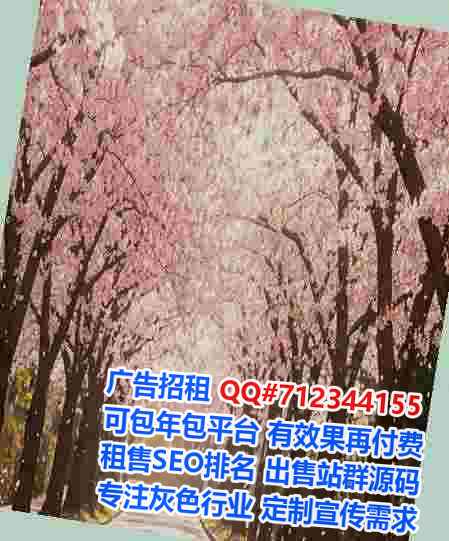 宣城助孕汽车维修有限公司